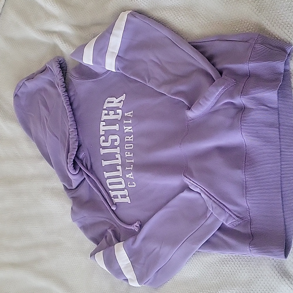 Purple Hollister Hoodie